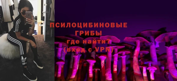 метадон Белокуриха