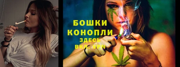 метадон Белокуриха