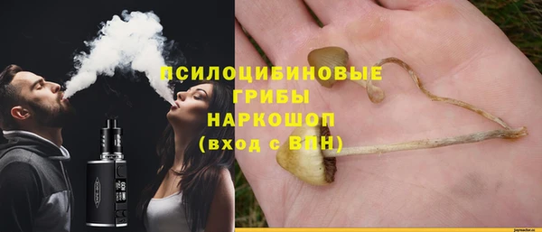 дурь Белоозёрский