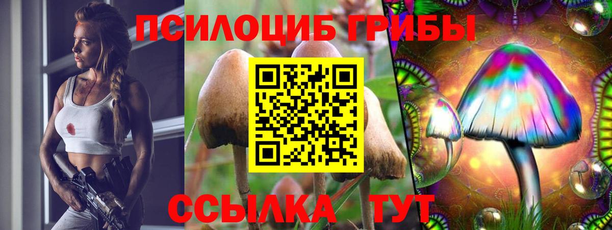 Псилоцибиновые грибы Magic Shrooms Армавир